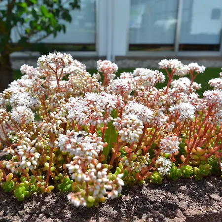 Eifelhof Weina Hotel 3*