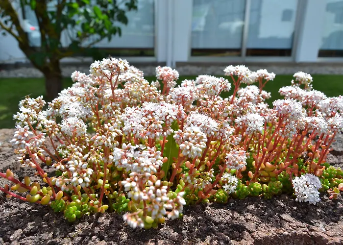 Eifelhof Weina Otel 3*