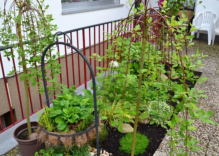 Otel Eifelhof Weina Heimbach